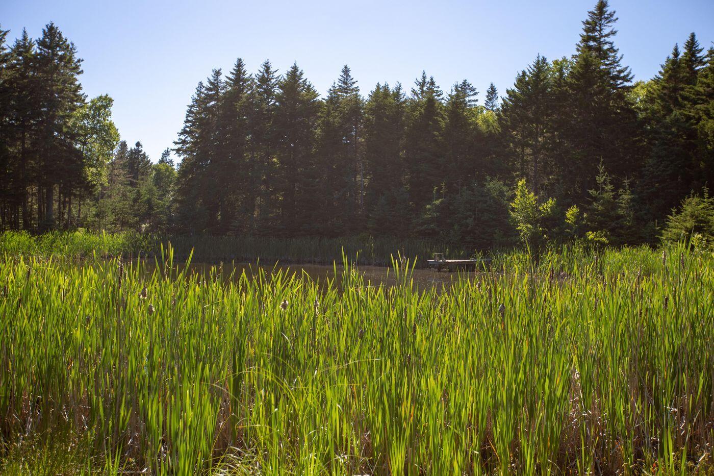 Lot 001 Sheephead Island Deer Isle, ME 04627 - Photo 45 of 56 W46-ME2866-ME1487_36_CC