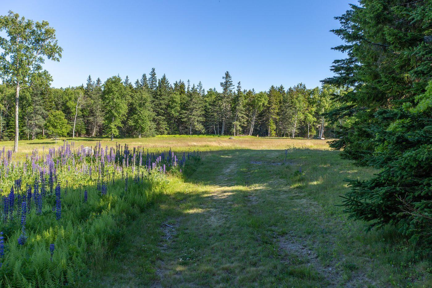 Lot 001 Sheephead Island Deer Isle, ME 04627 - Photo 46 of 56 W47-ME2866-ME1487_37