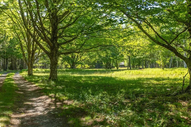 $7,975,000 | Lot 001 Sheephead Island, Deer Isle, ME 04627