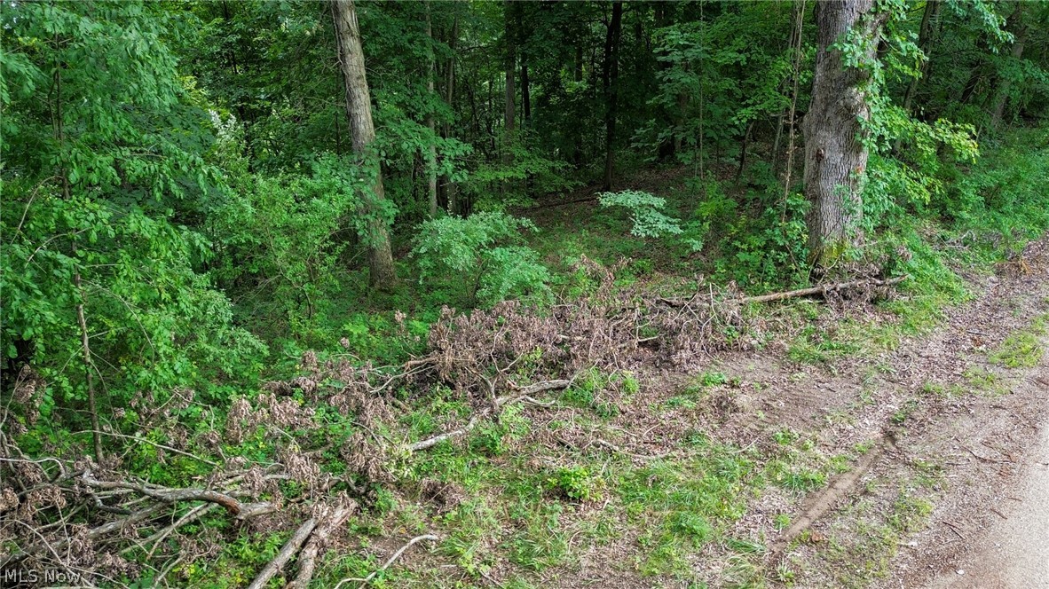 Windy Ridge Dennison, OH 44621 - Photo 27 of 50 Gallery Image 27