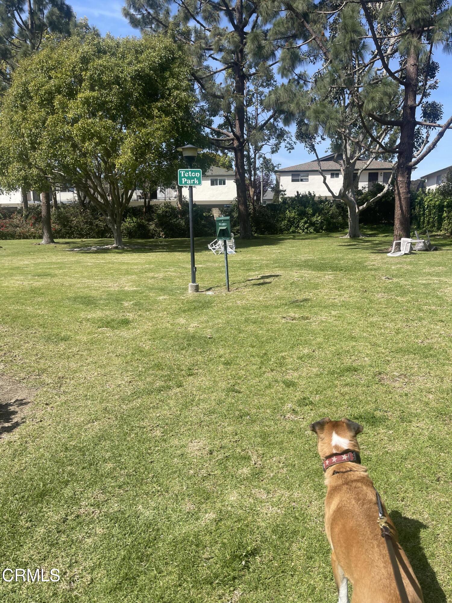 5020 Teton Lane Ventura, CA 93003 - Photo 19 of 20 IMG_2248