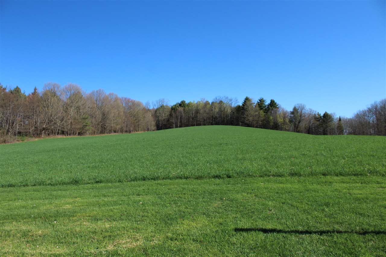 561 Blanchard Hill Road Peacham, VT 05862 - Photo 5 of 35