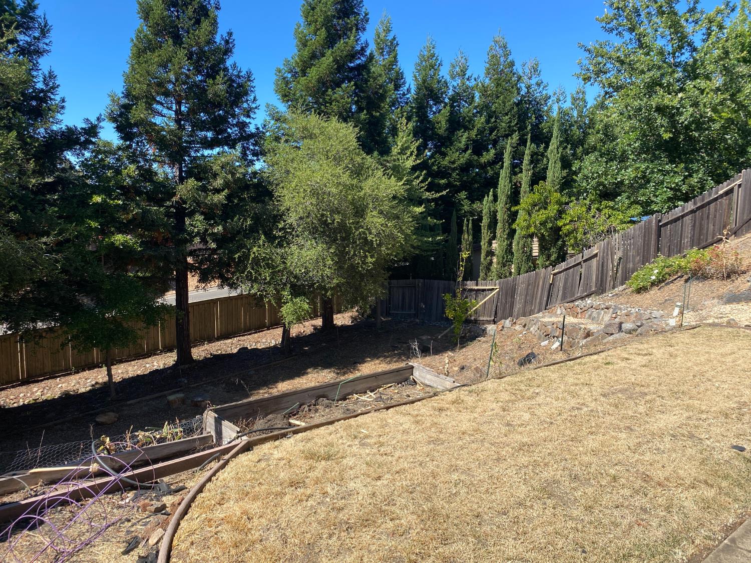 3537 Foxmore Lane Rescue, CA 95672 - Photo 2 of 32