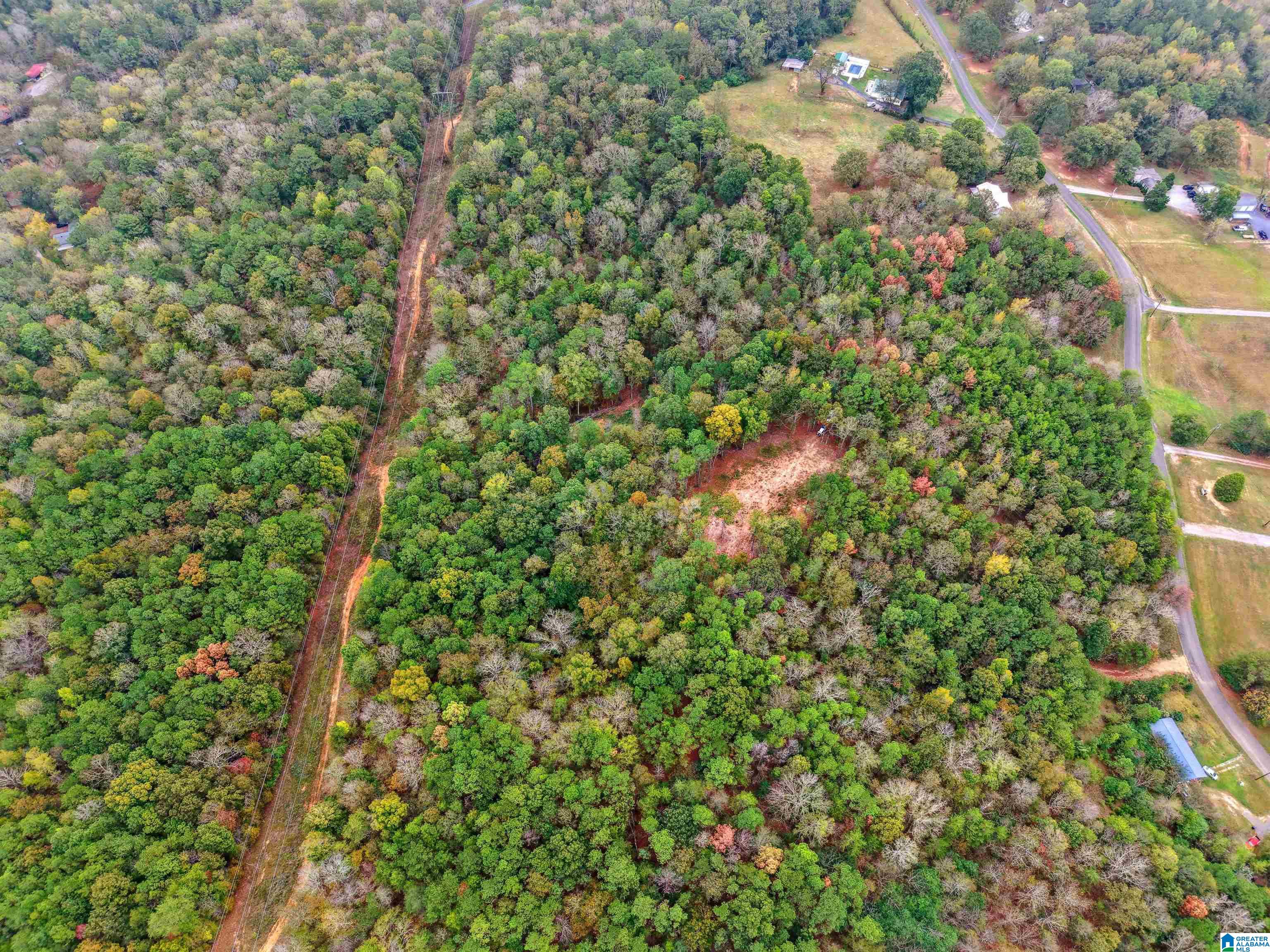 1215 Buddy Vines Camp Road Bessemer, AL 35023 - Photo 20 of 25