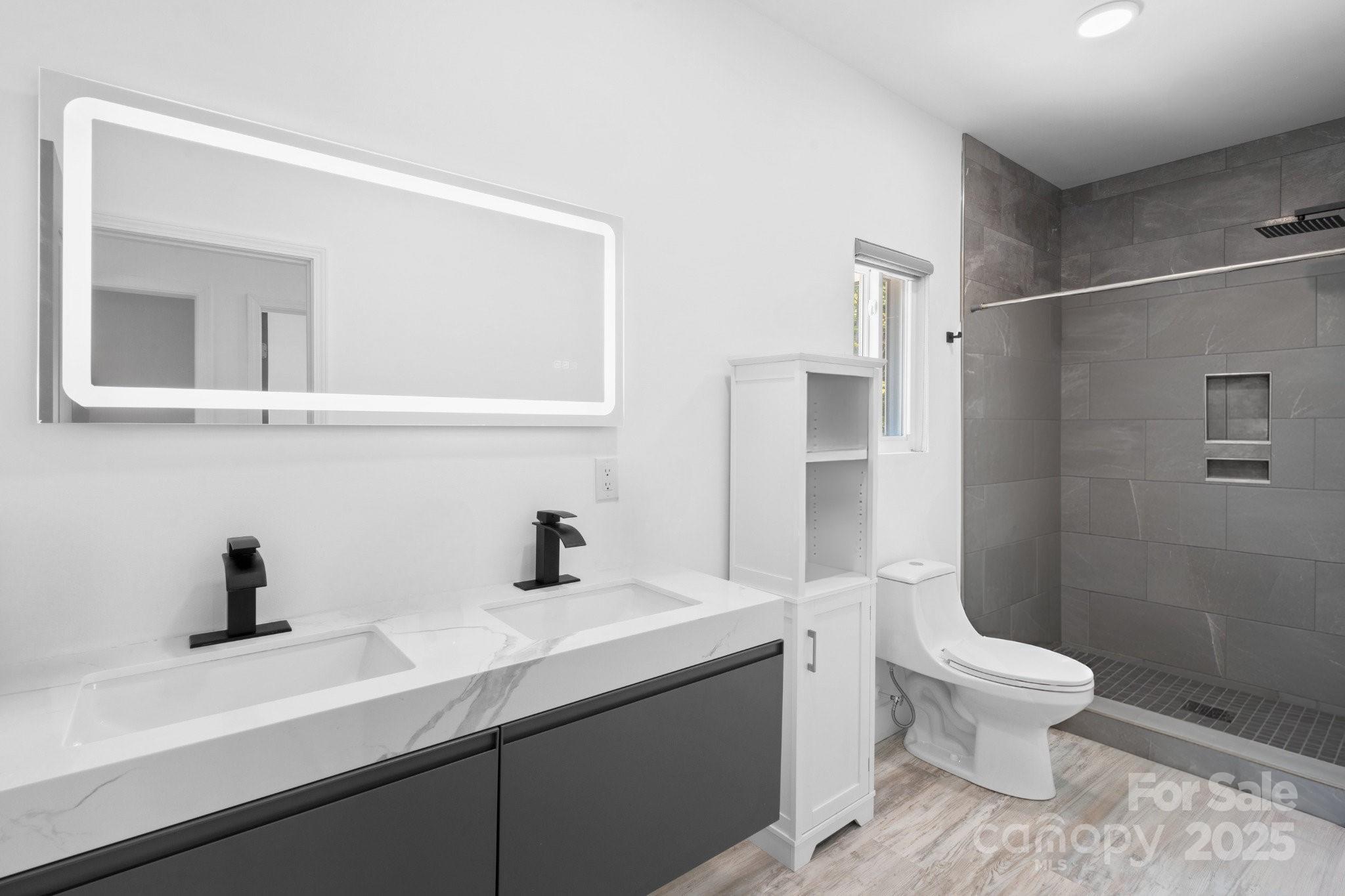 456 Hickory Loop Road Rutherfordton, NC 28139 - Photo 20 of 38 a bathroom with a sink a toilet and a mirror