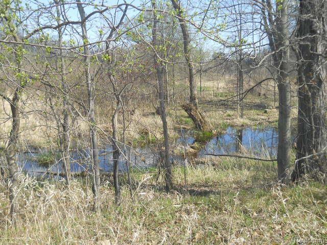 69464 Omo Road Richmond, MI 48062 - Photo 4 of 25