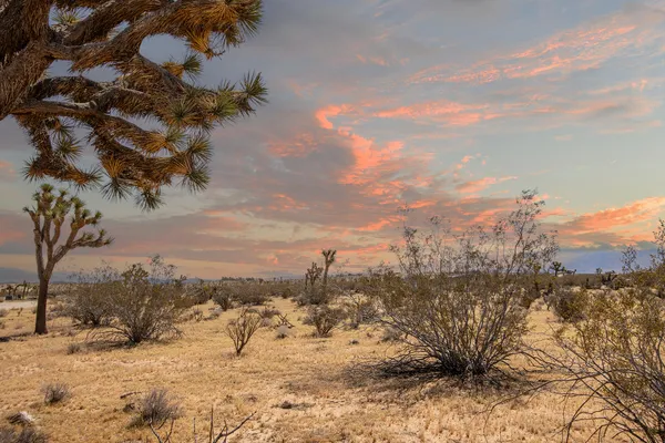 $120,000 | 60531 Cielito Drive, Joshua Tree, CA 92252