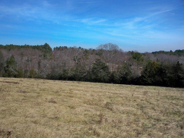 1352 Davis Road Eastanollee, GA 30538 - Photo 4 of 36