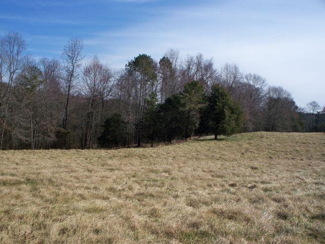 1352 Davis Road Eastanollee, GA 30538 - Photo 7 of 36