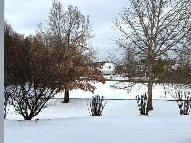 a view of outdoor space yard and tree