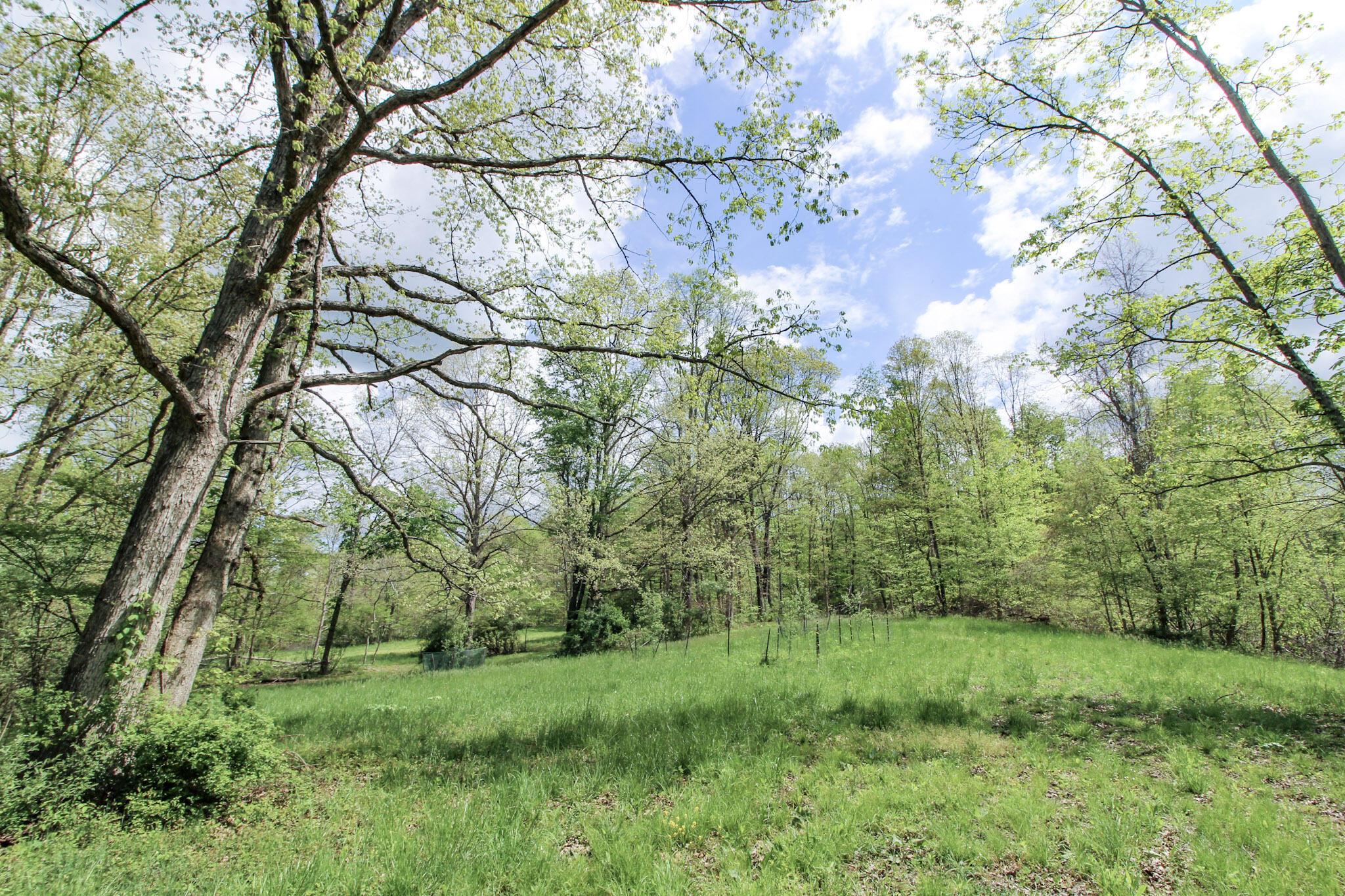 0 Dutch Ridge Road New Straitsville, OH 43766 - Photo 17 of 28 18A