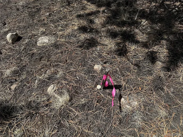 a street sign on a sidewalk next to a road
