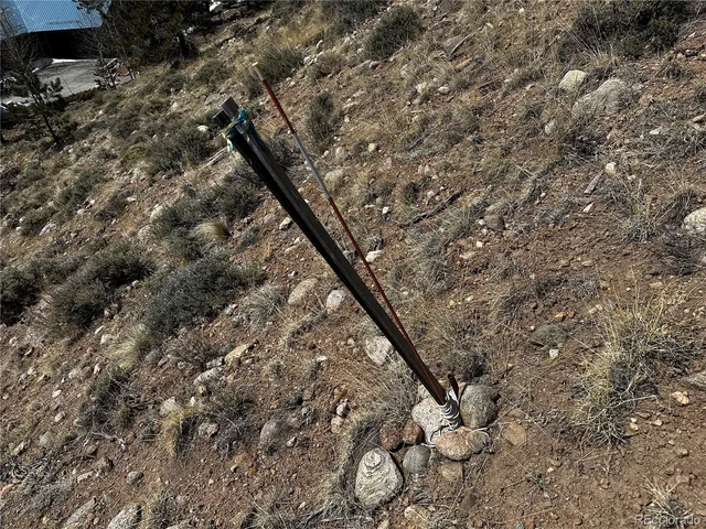 a view of a large tree with a tree