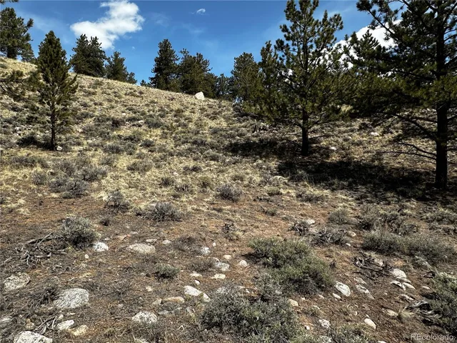 a view of a yard with a tree