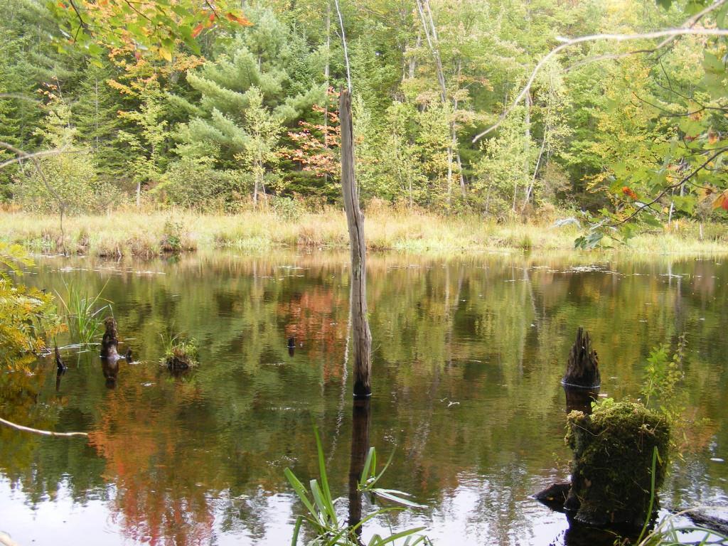 960 New County Road Biddeford, ME 04005 - Photo 6 of 35 Photo