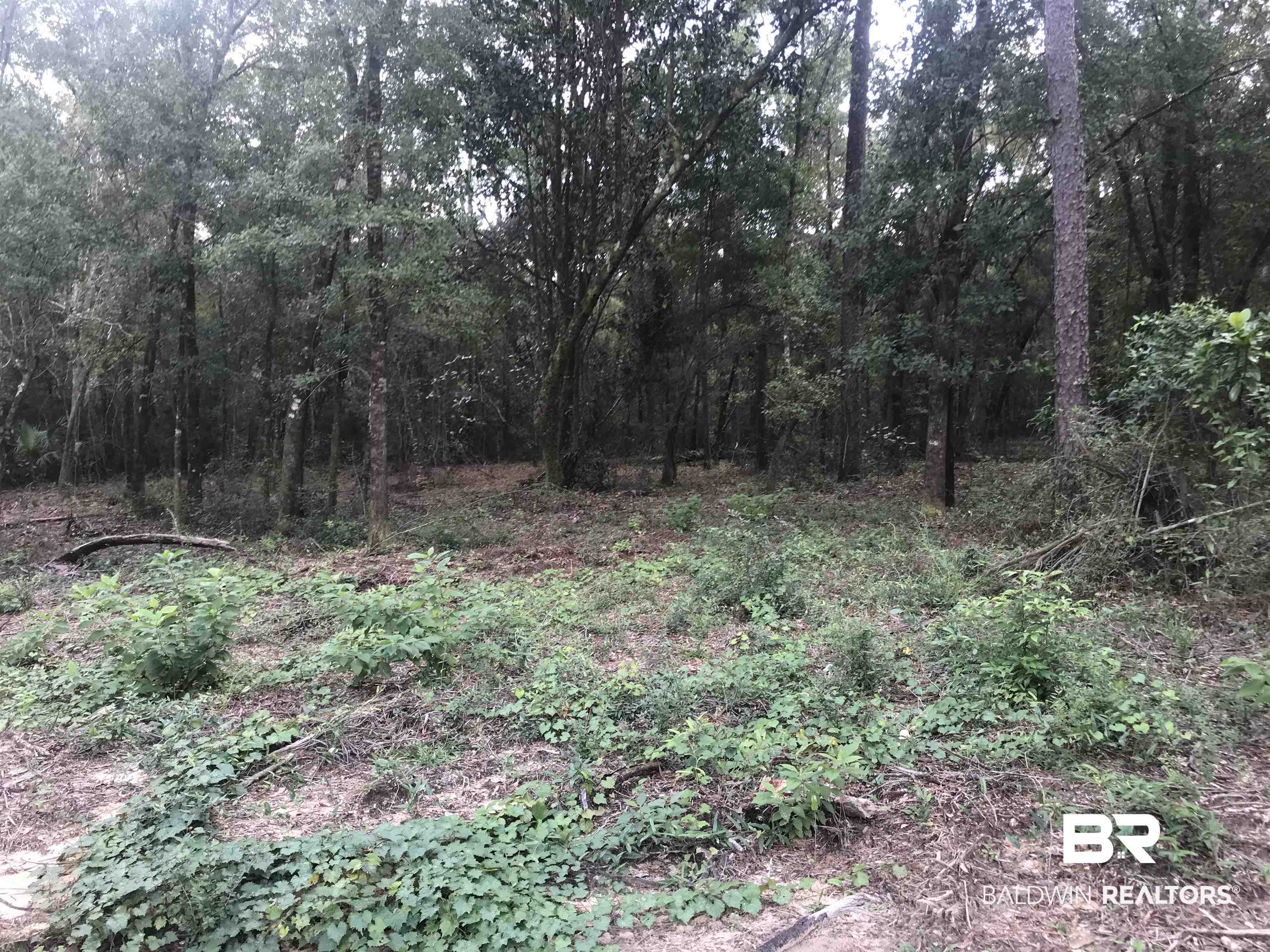 14356 State Highway Silverhill, AL 36576 - Photo 15 of 15 View of landscape
