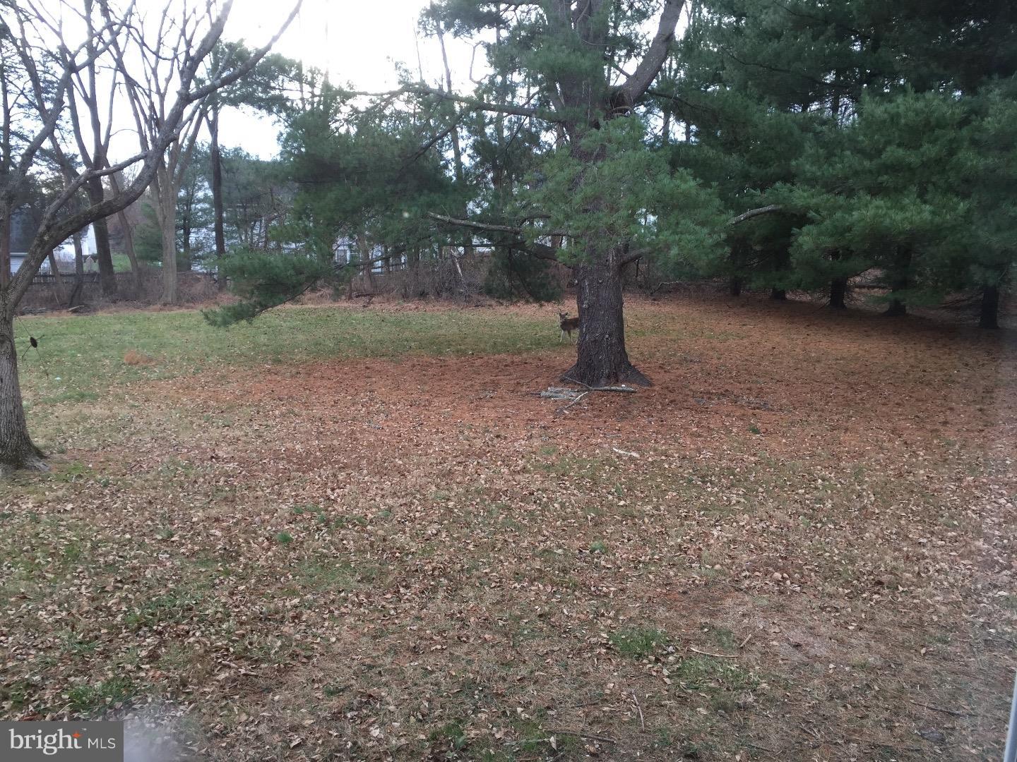 31 Brandon Road Pennington, NJ 08534 - Photo 17 of 17