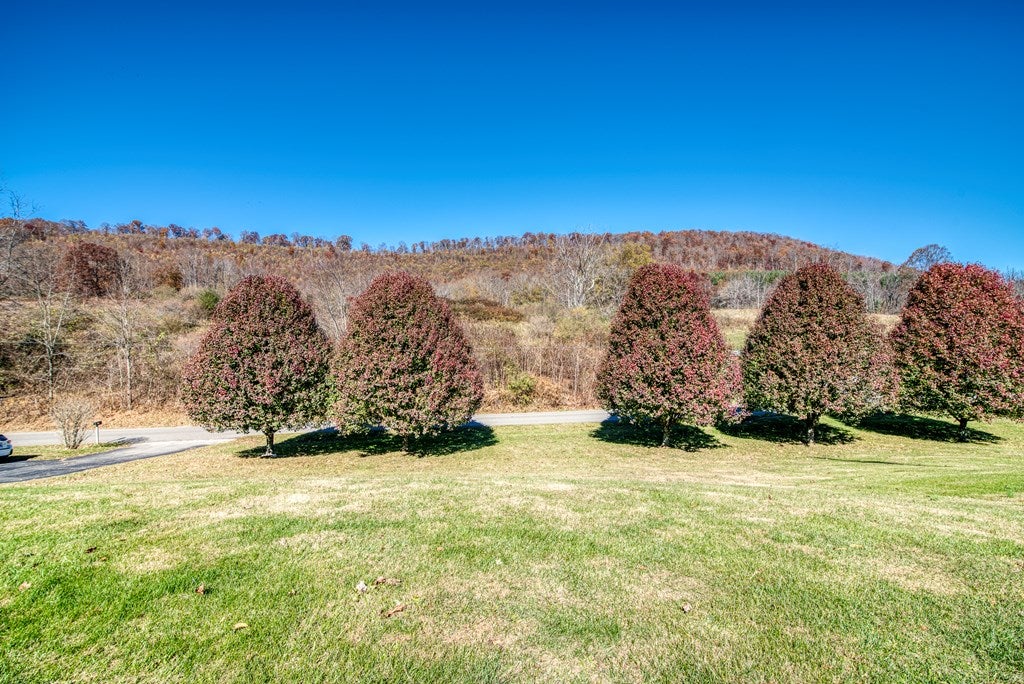 2830 South Fork Road Sugar Grove, VA 24375 - Photo 15 of 15 Gallery Image 15