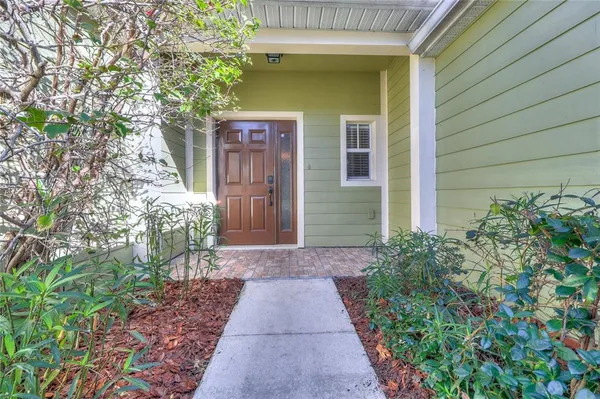 a view of a forest with trees