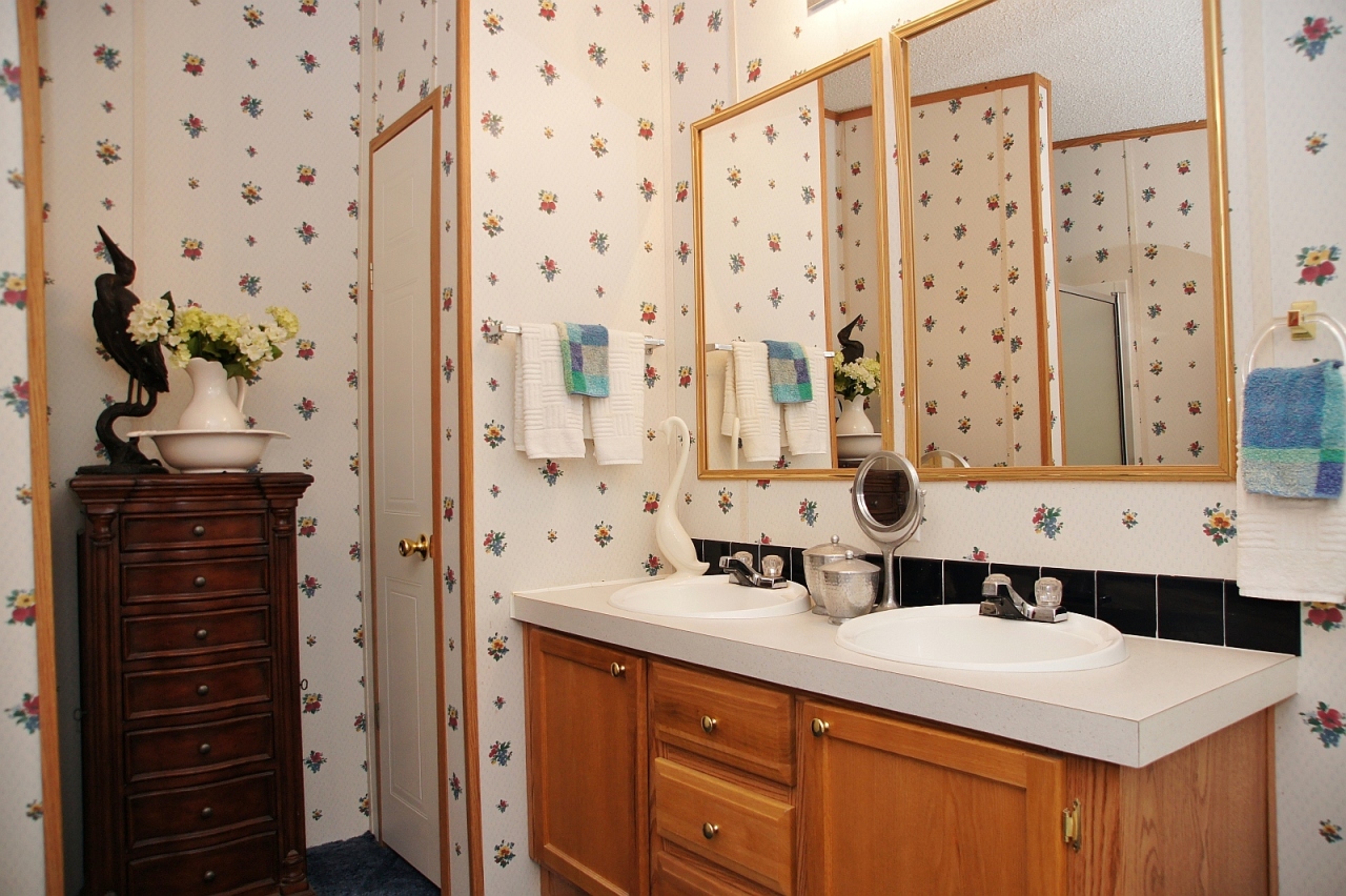 180 Cove Road Penhook, VA 24137 - Photo 11 of 33 a bathroom with a sink and a mirror