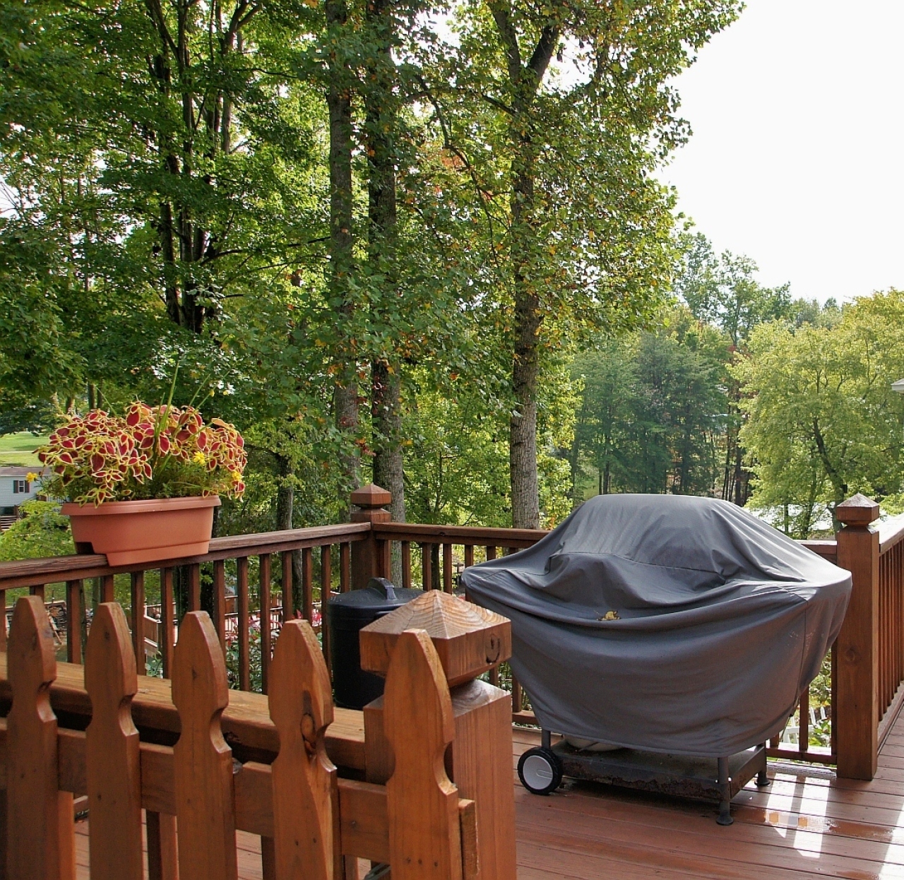180 Cove Road Penhook, VA 24137 - Photo 12 of 33 a view of outdoor space yard and patio