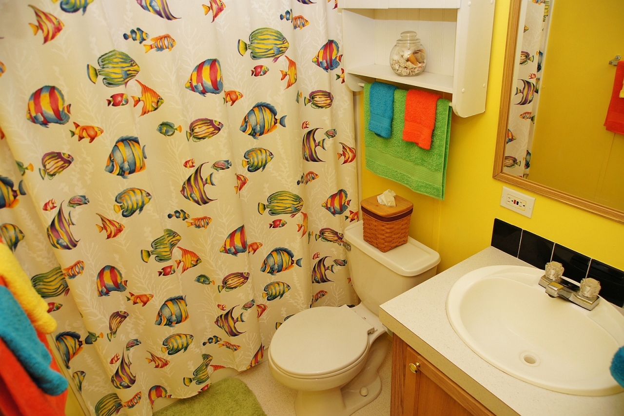 180 Cove Road Penhook, VA 24137 - Photo 16 of 33 a bathroom with a toilet and a sink curtain