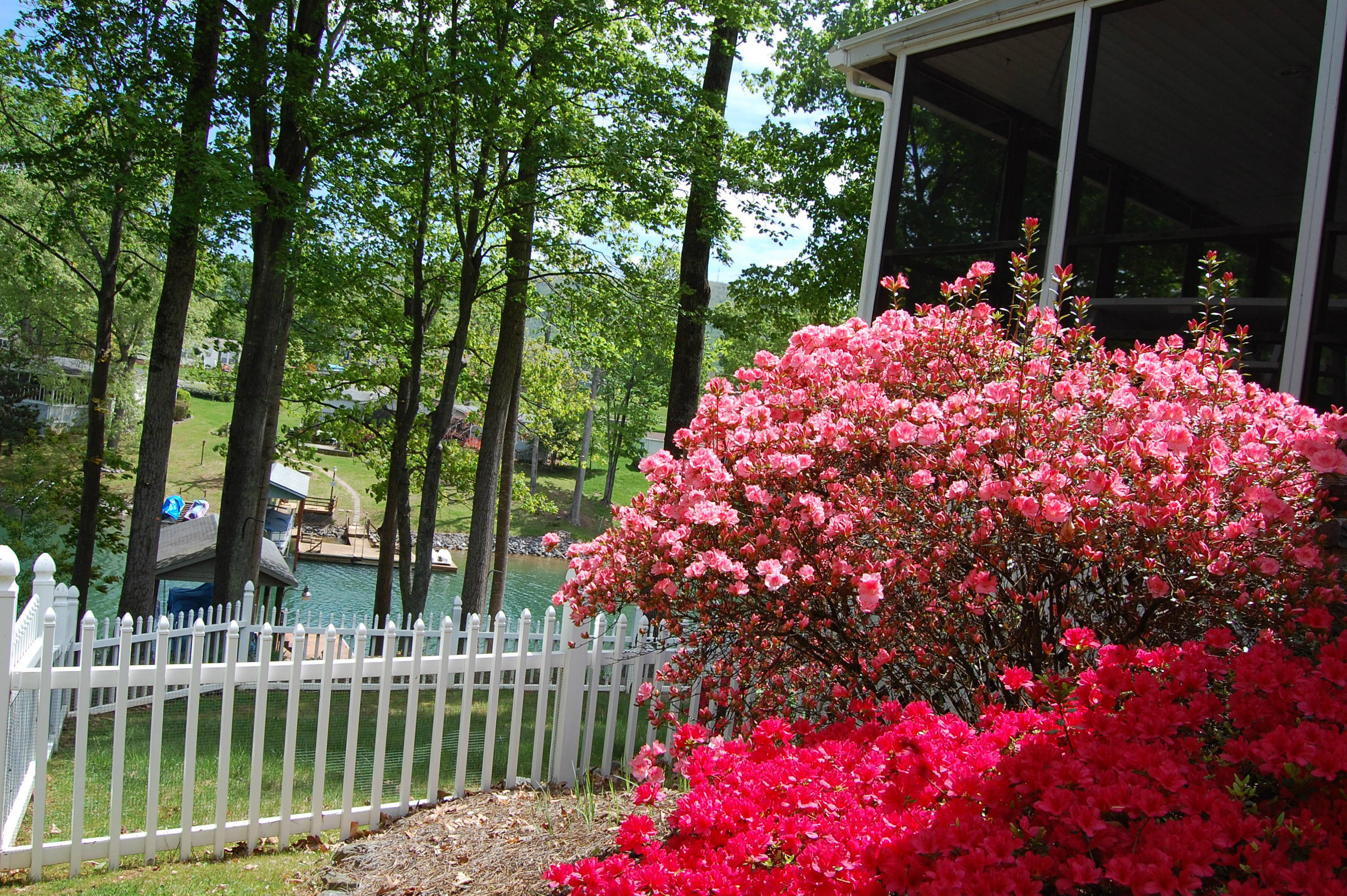 180 Cove Road Penhook, VA 24137 - Photo 28 of 33 a garden covered with tall trees