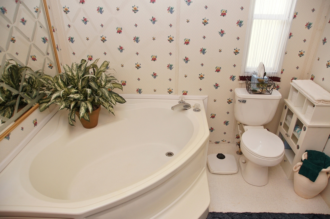 180 Cove Road Penhook, VA 24137 - Photo 6 of 33 a white toilet sitting next to a shower