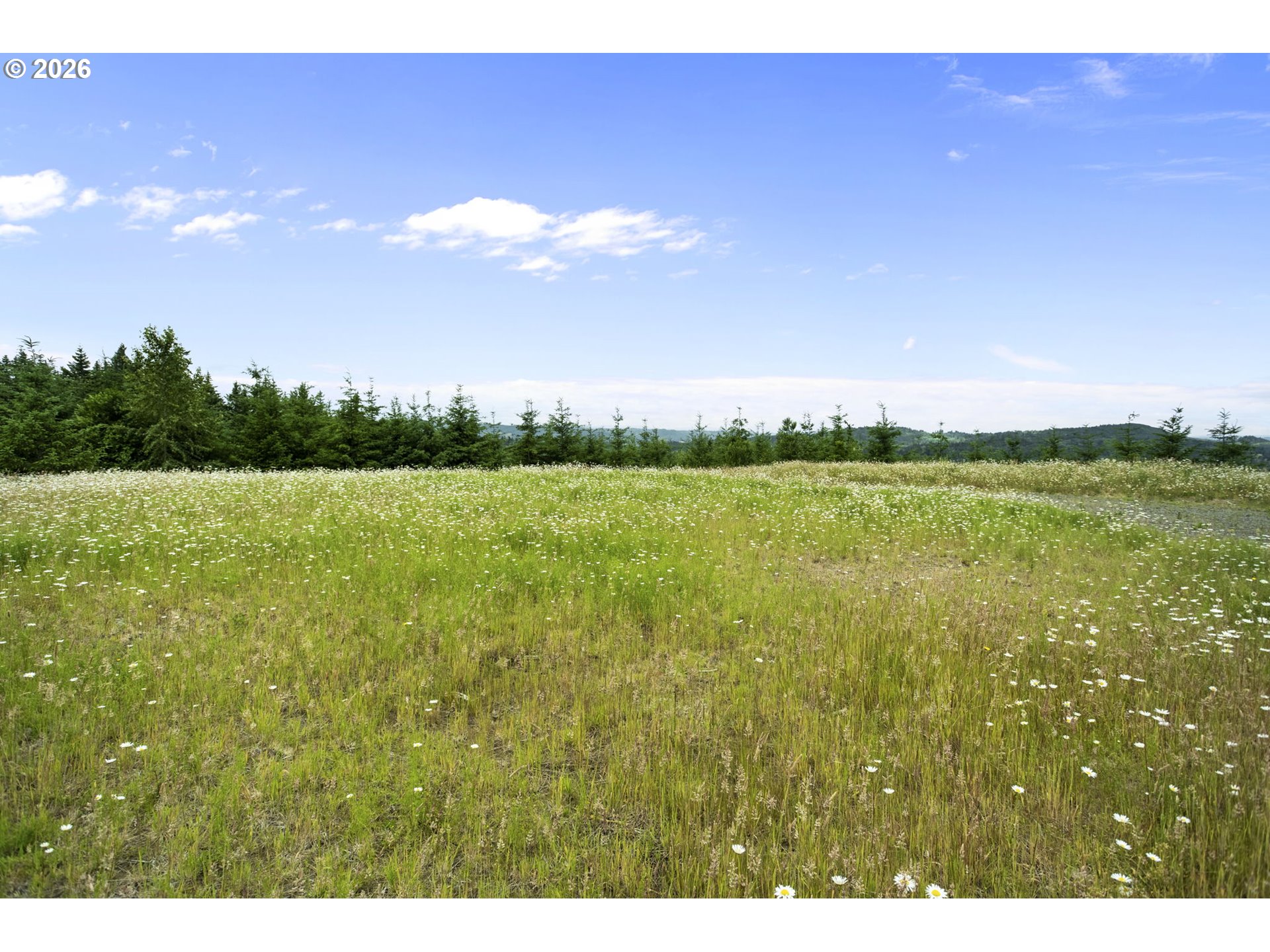 104 Bootjack Lane Kelso, WA 98626 - Photo 14 of 31 Home Site