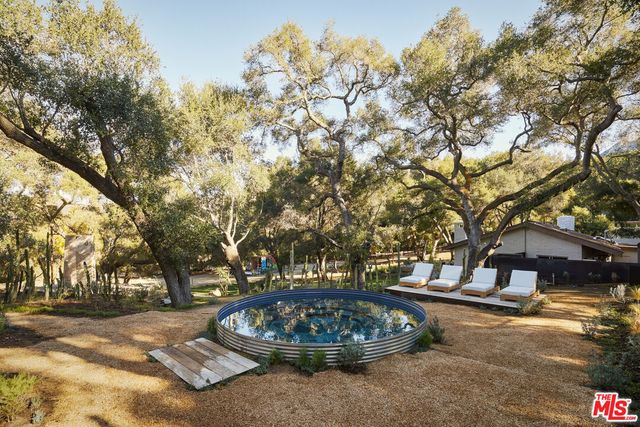 a view of a backyard with plants and trees