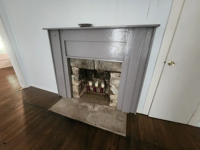 a view of a forest with trees in the background