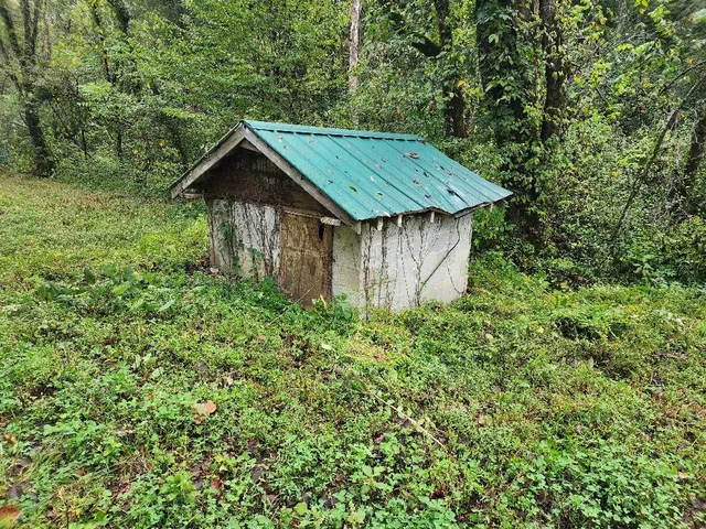 a fire hydrant in the middle of a field