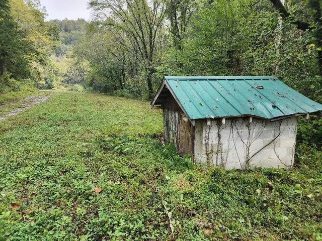 a view of a yard in front of house