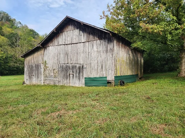 a view of a yard with a house in the background