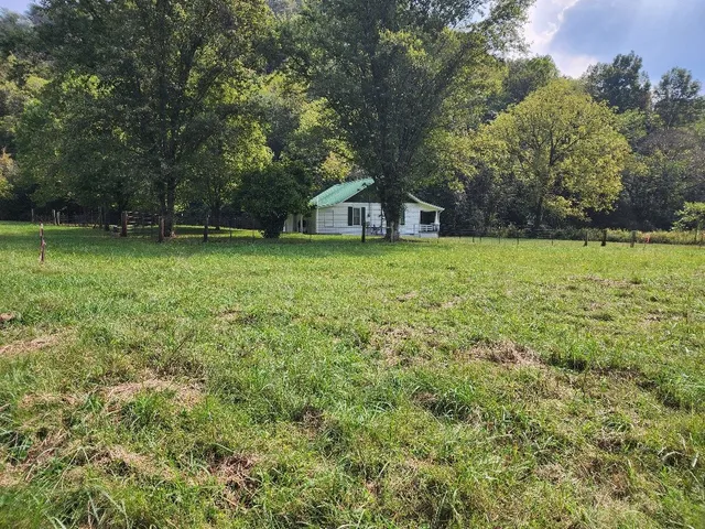 an aerial view of forest