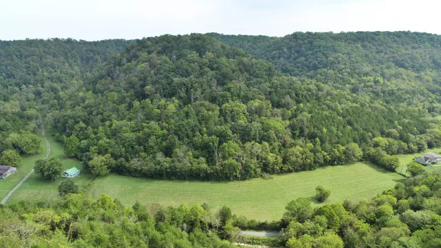 a view of a grassy field with trees