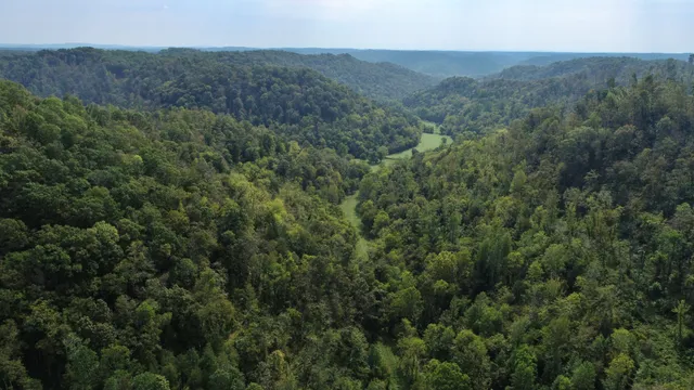 $199,900 | 644 Webster Branch Lane, Whitleyville, TN 38588