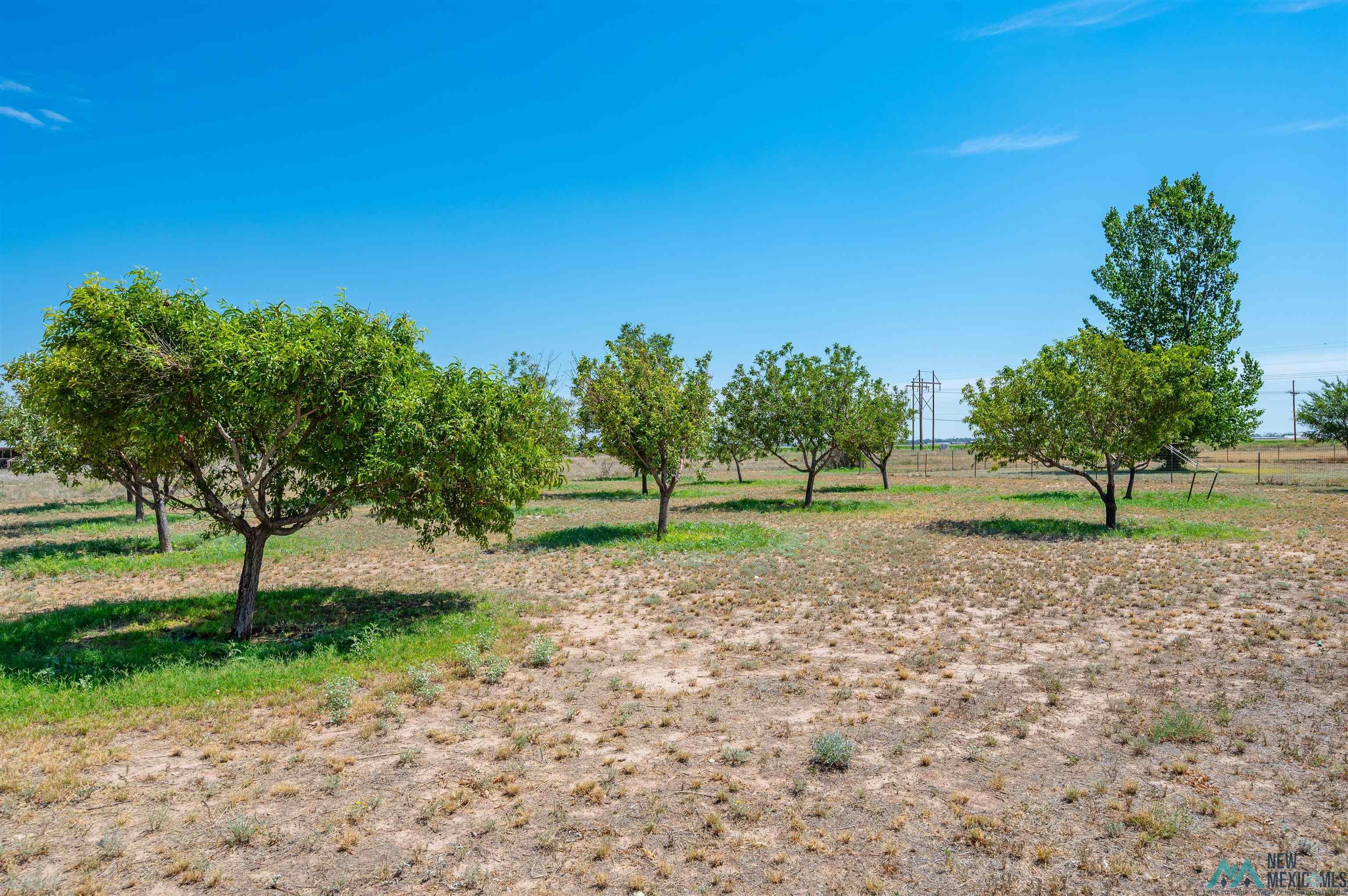 6269 Rocking Chair Road Roswell, NM 88203 - Photo 80 of 92 Gallery Image 80