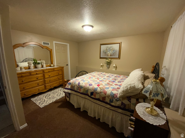1061 Copper Street Stockton, UT 84071 - Photo 28 of 43 Carpeted room with a ceiling-mounted light fixture, warm-toned walls, and a white door with black hardware
