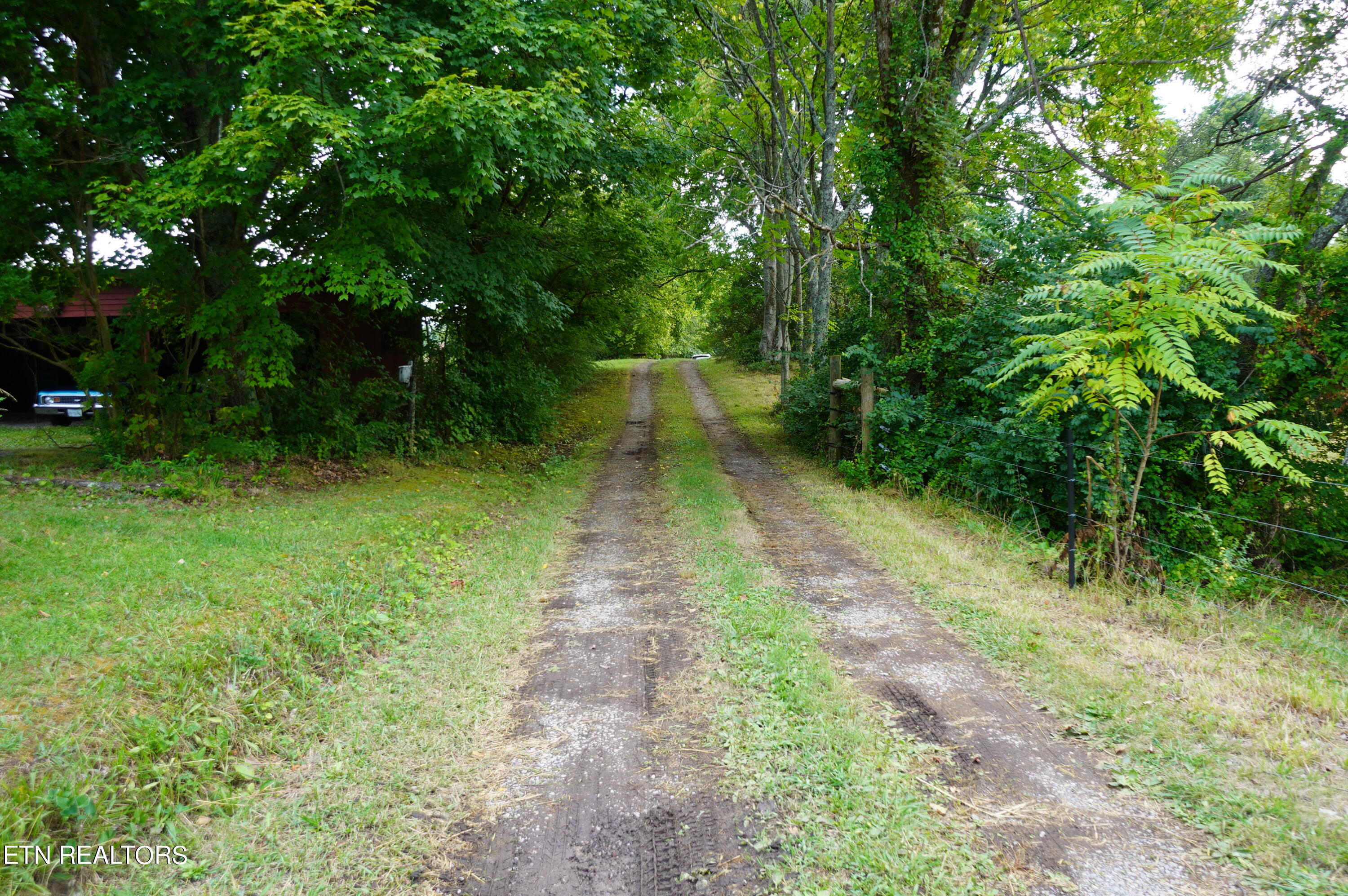 1271 Sager Road Dandridge, TN 37725 - Photo 11 of 41 1271 sager rd (18)