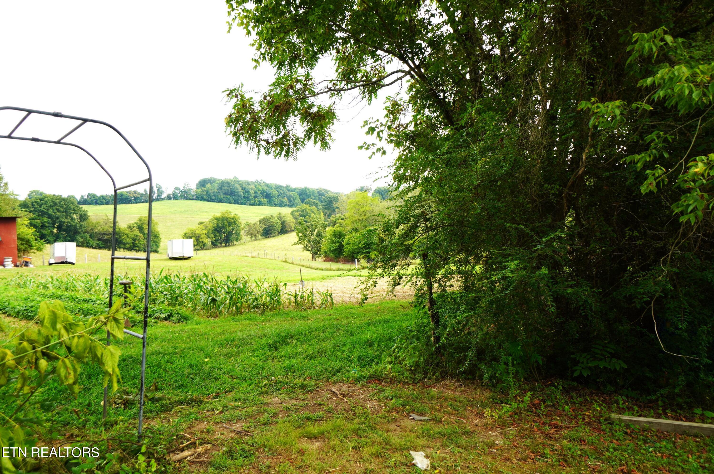 1271 Sager Road Dandridge, TN 37725 - Photo 2 of 41 1271 sager rd (7)