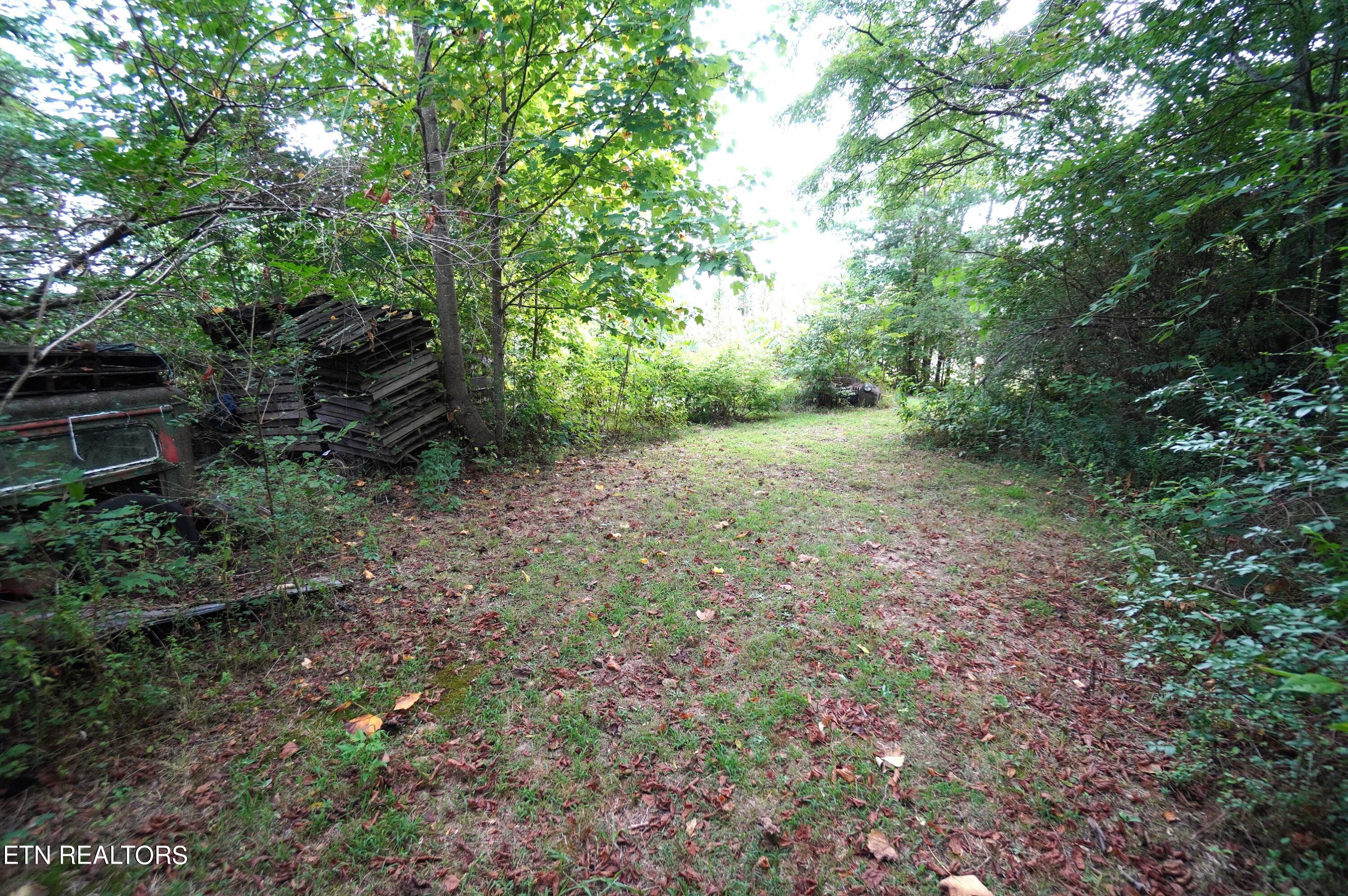 1271 Sager Road Dandridge, TN 37725 - Photo 32 of 41 1271 sager rd (47)