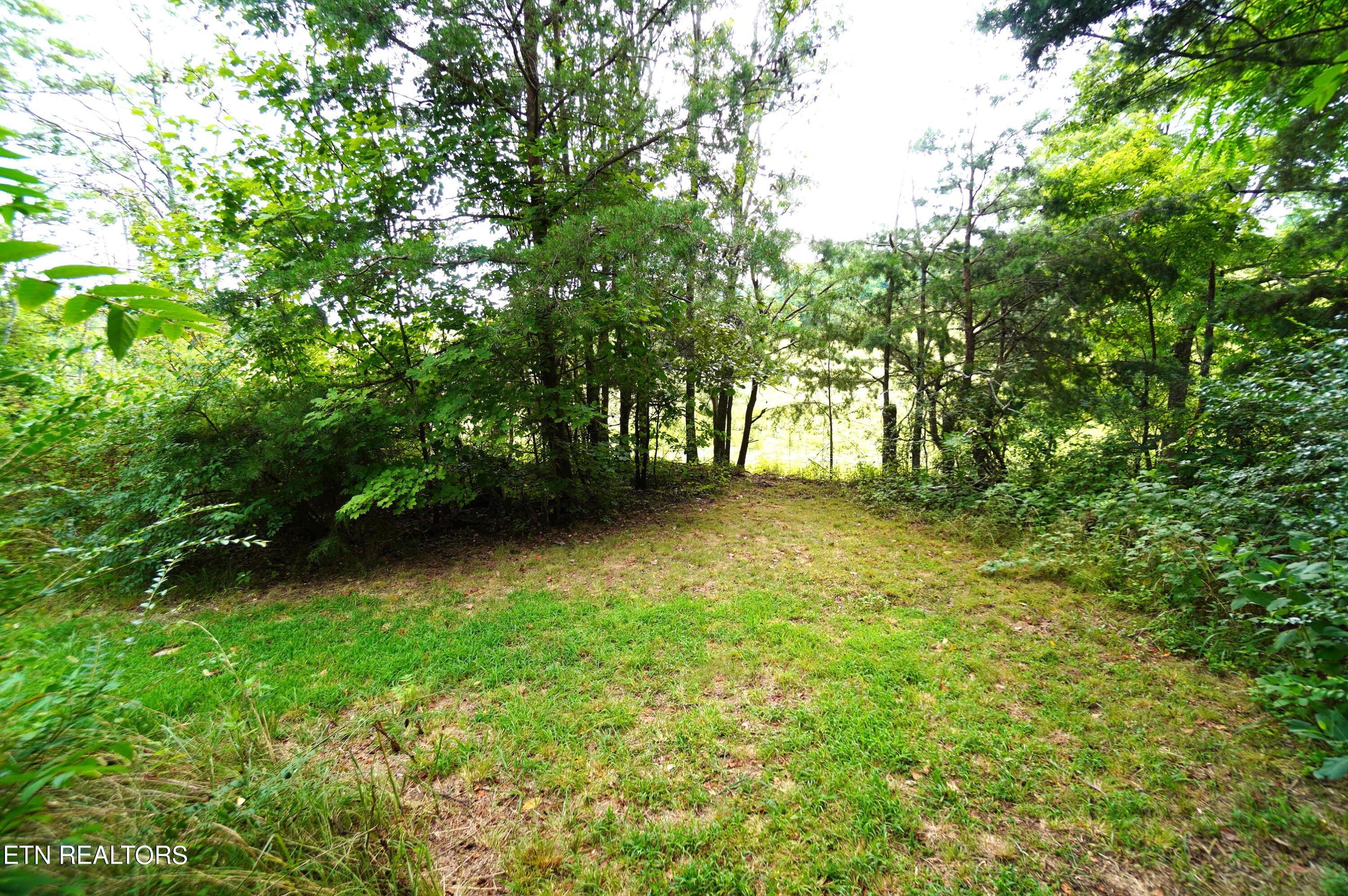 1271 Sager Road Dandridge, TN 37725 - Photo 33 of 41 1271 sager rd (48)
