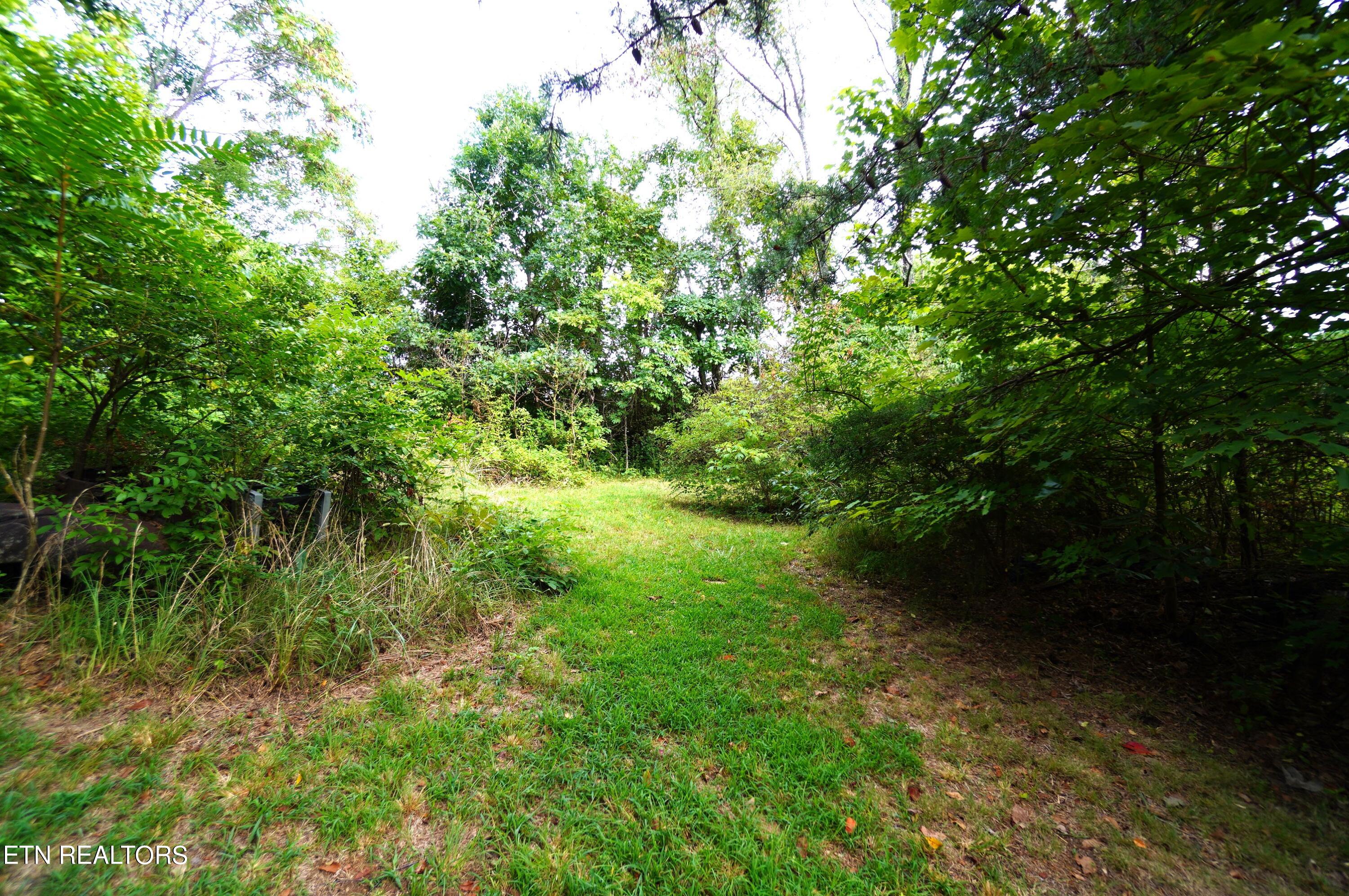 1271 Sager Road Dandridge, TN 37725 - Photo 34 of 41 1271 sager rd (49)