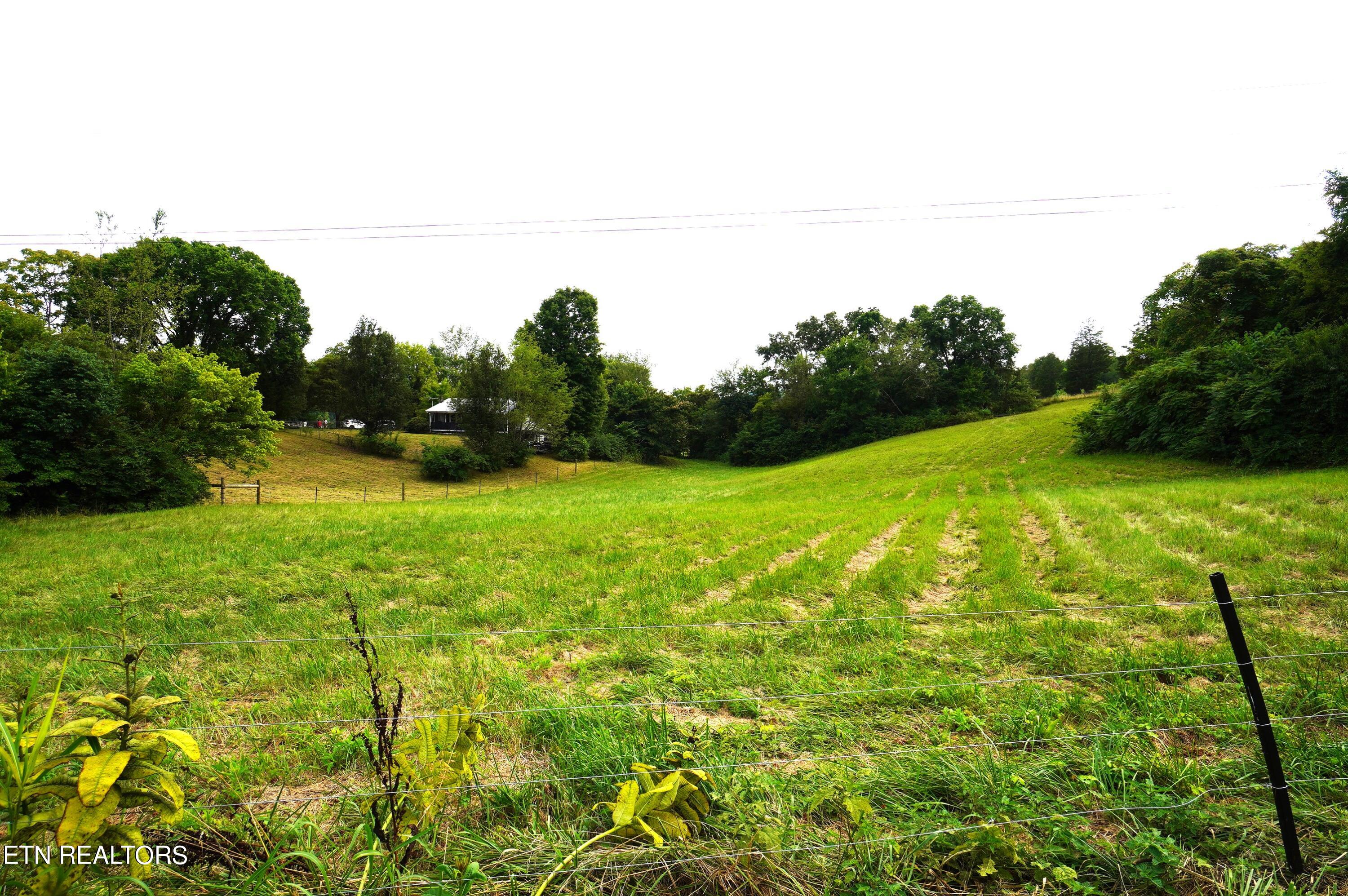 1271 Sager Road Dandridge, TN 37725 - Photo 8 of 41 1271 sager rd (15)
