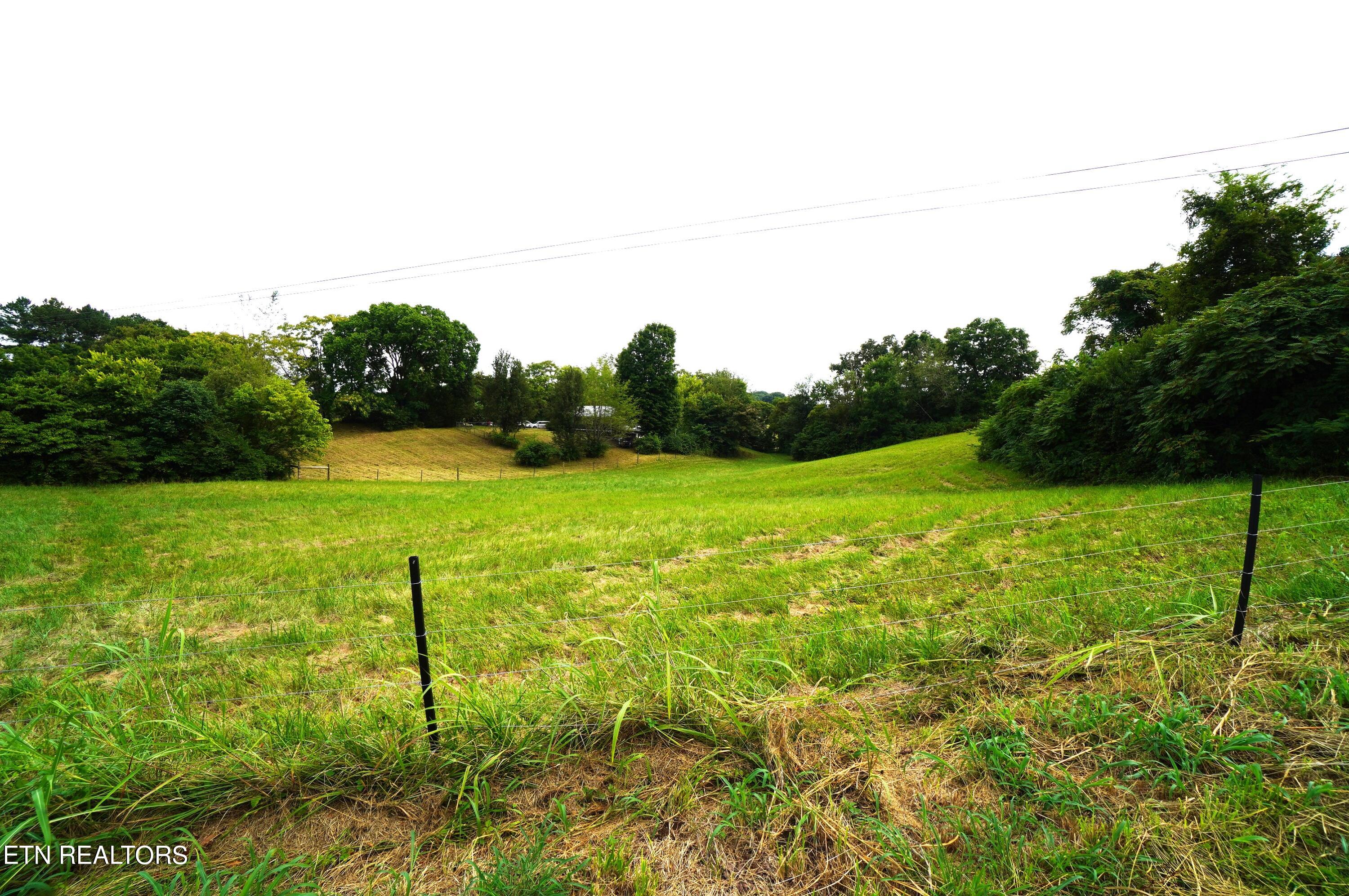 1271 Sager Road Dandridge, TN 37725 - Photo 9 of 41 1271 sager rd (16)