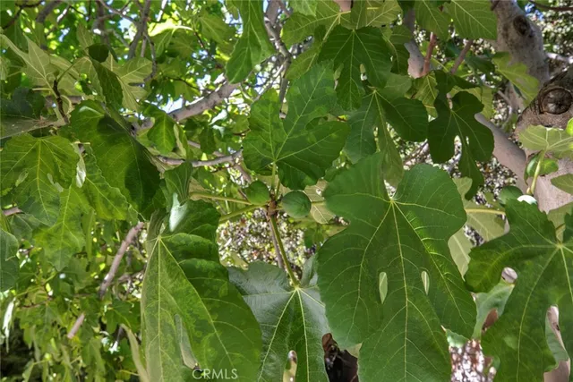 $795,000 | 20623 Russ Jay Street, Saugus, CA 91350