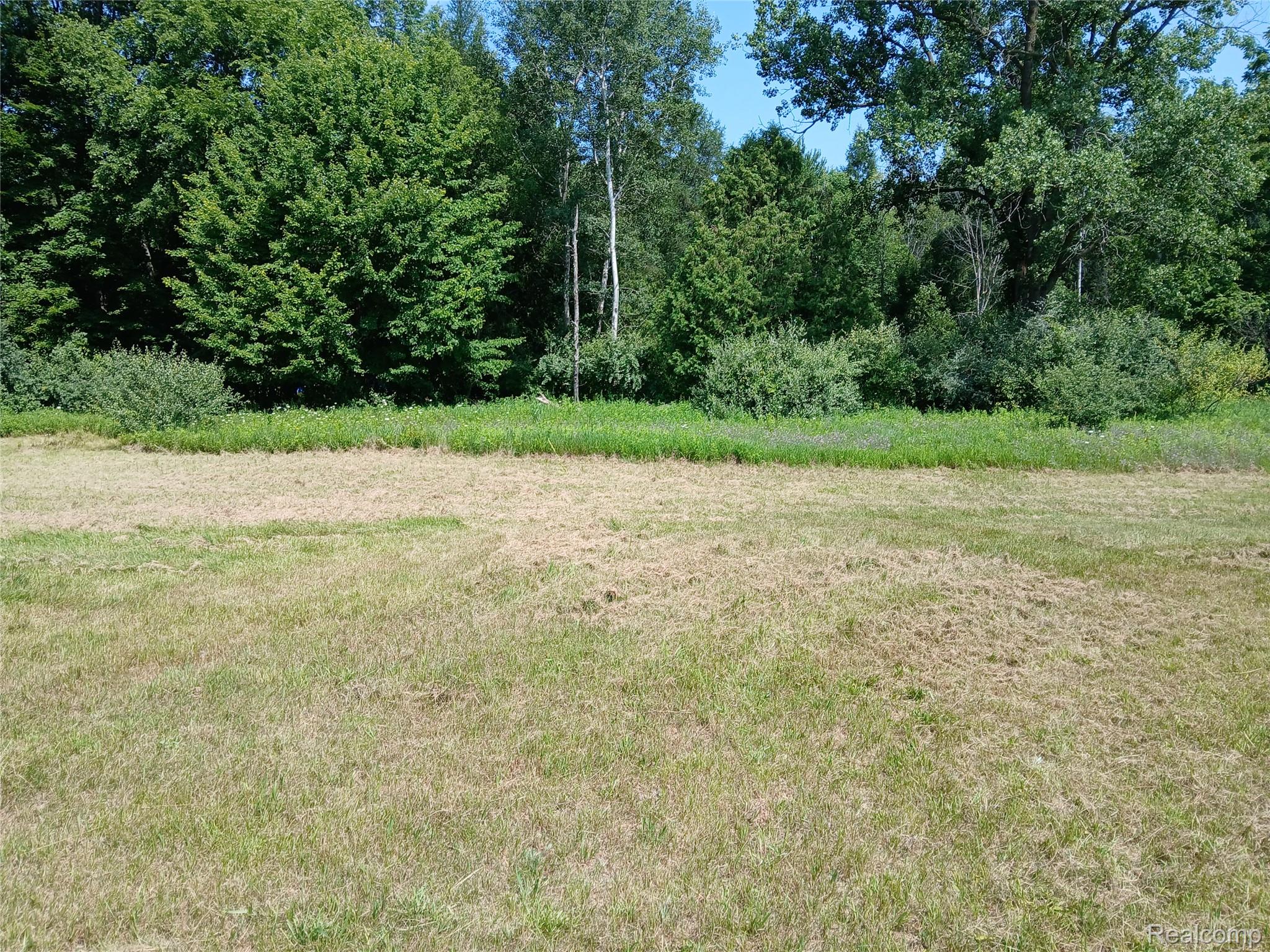 20260731_120653.jpg