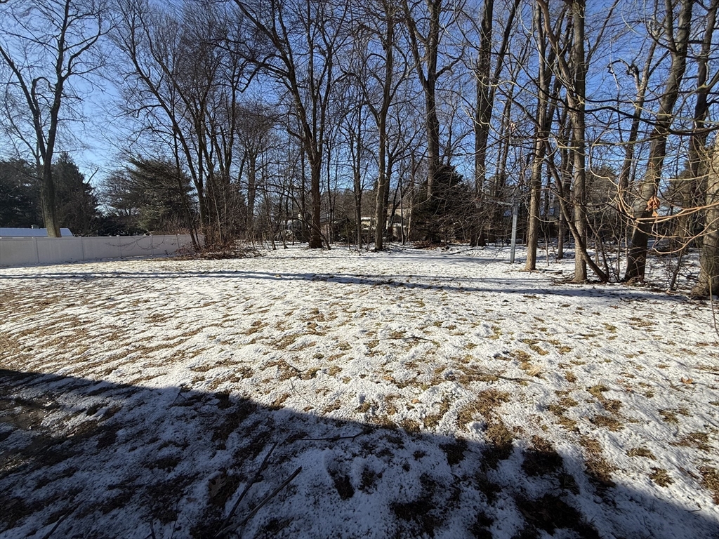 54 Rogers Road East Longmeadow, MA 01028 - Photo 5 of 21 a view of a yard with trees