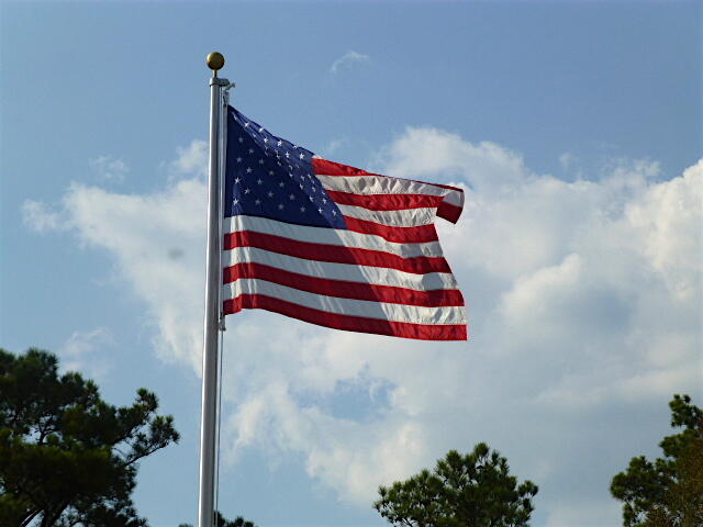 237 Lynbrook Way Grovetown, GA 30813 - Photo 13 of 13 OLD GLORY